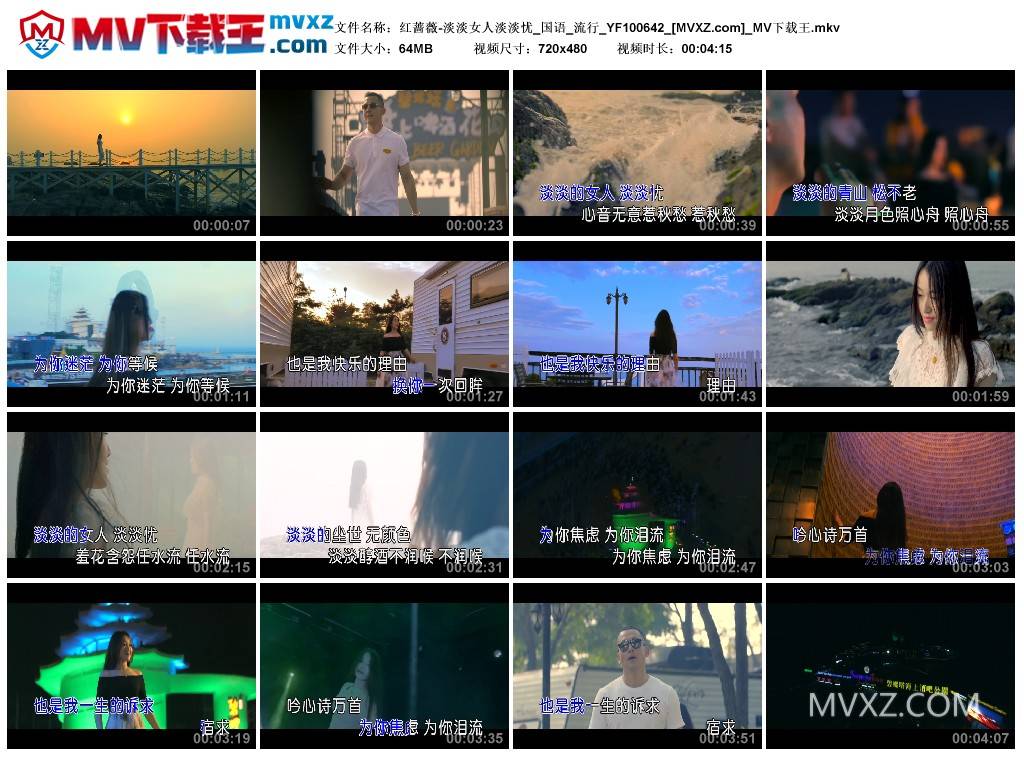 红蔷薇-淡淡女人淡淡忧_国语_流行_YF100642
